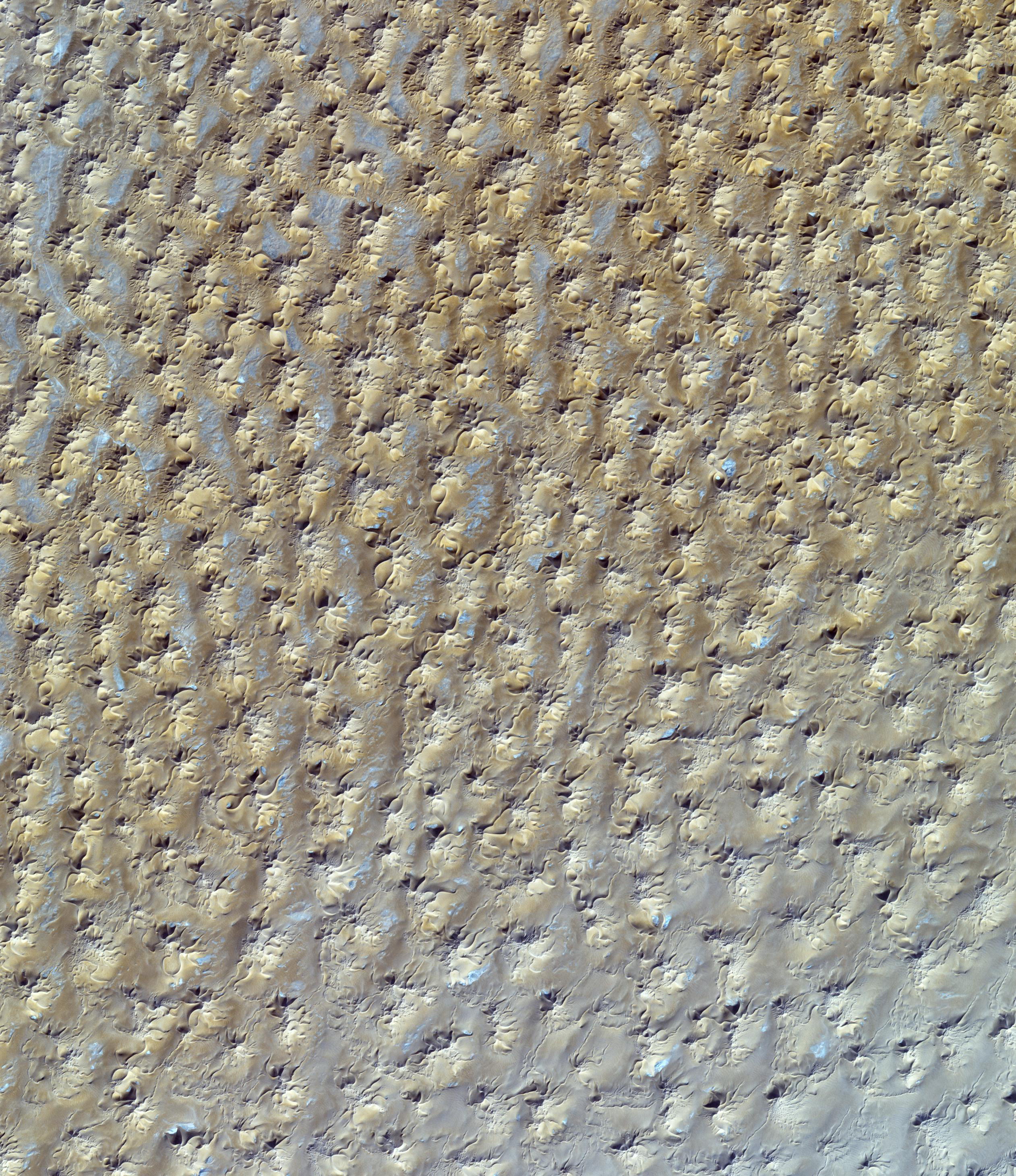 Sterndünen in der algerischen Sahara bei 29,8° N und 7,9° O