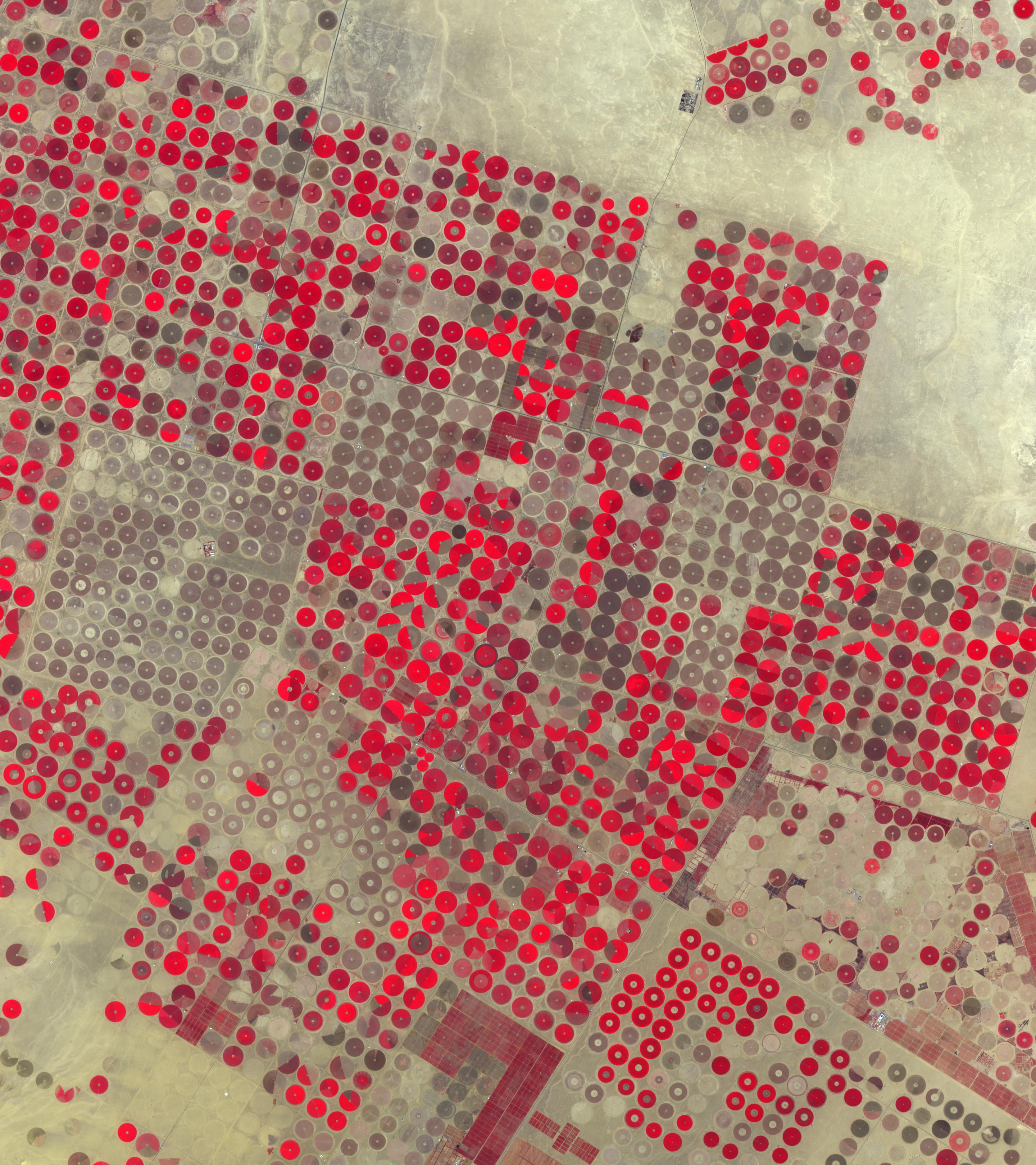 Provinz Al Jowf im nordwestlichen Saudi-Arabien mit ausgedehnter Landwirtschaft durch Bewässerung