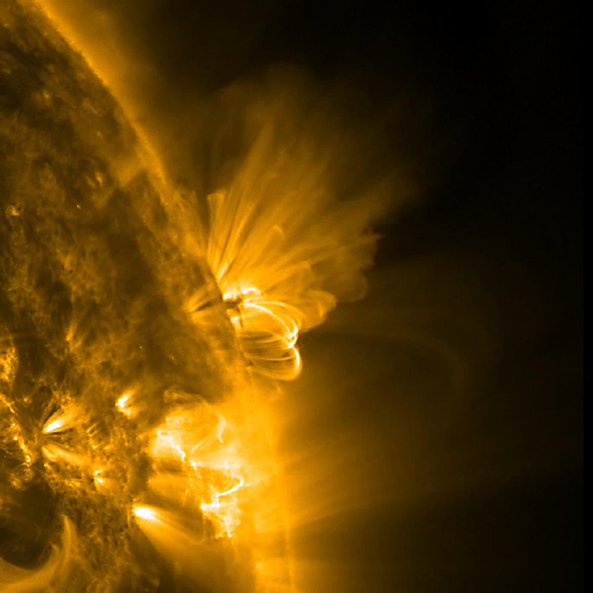 Sonne, aktive Region am Rand mit Bögen und dunklem Material